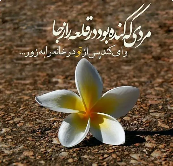  فاطمیه 