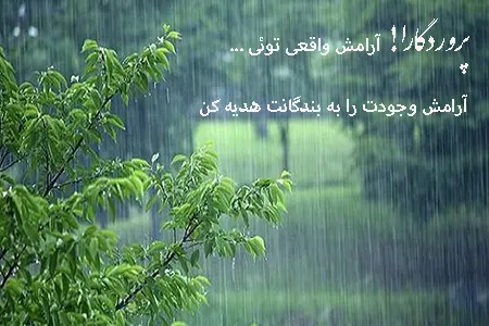 عکس نوشته جنگل