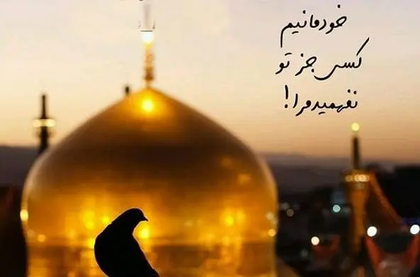 امام رضا علیه السلام