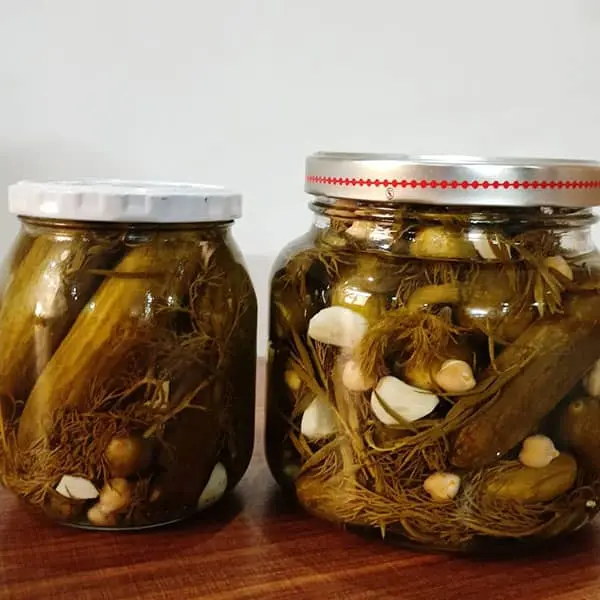 خیارشور خانگی 