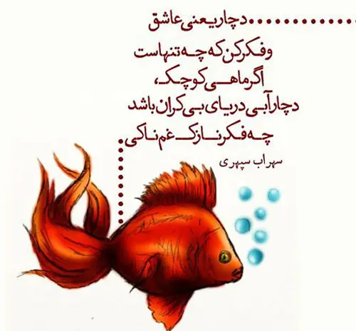 ماهی قرمز3