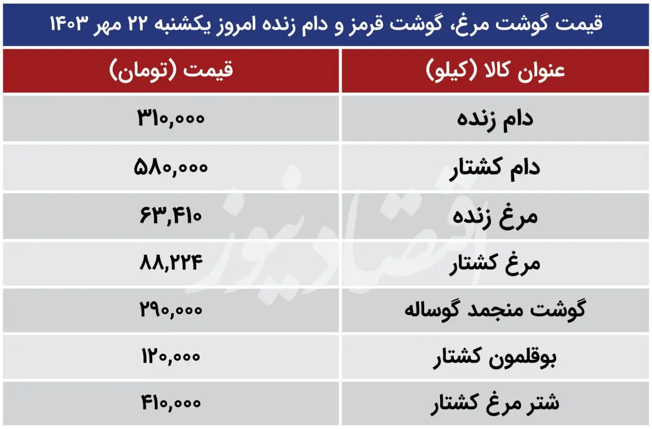 قیمت مرغ 