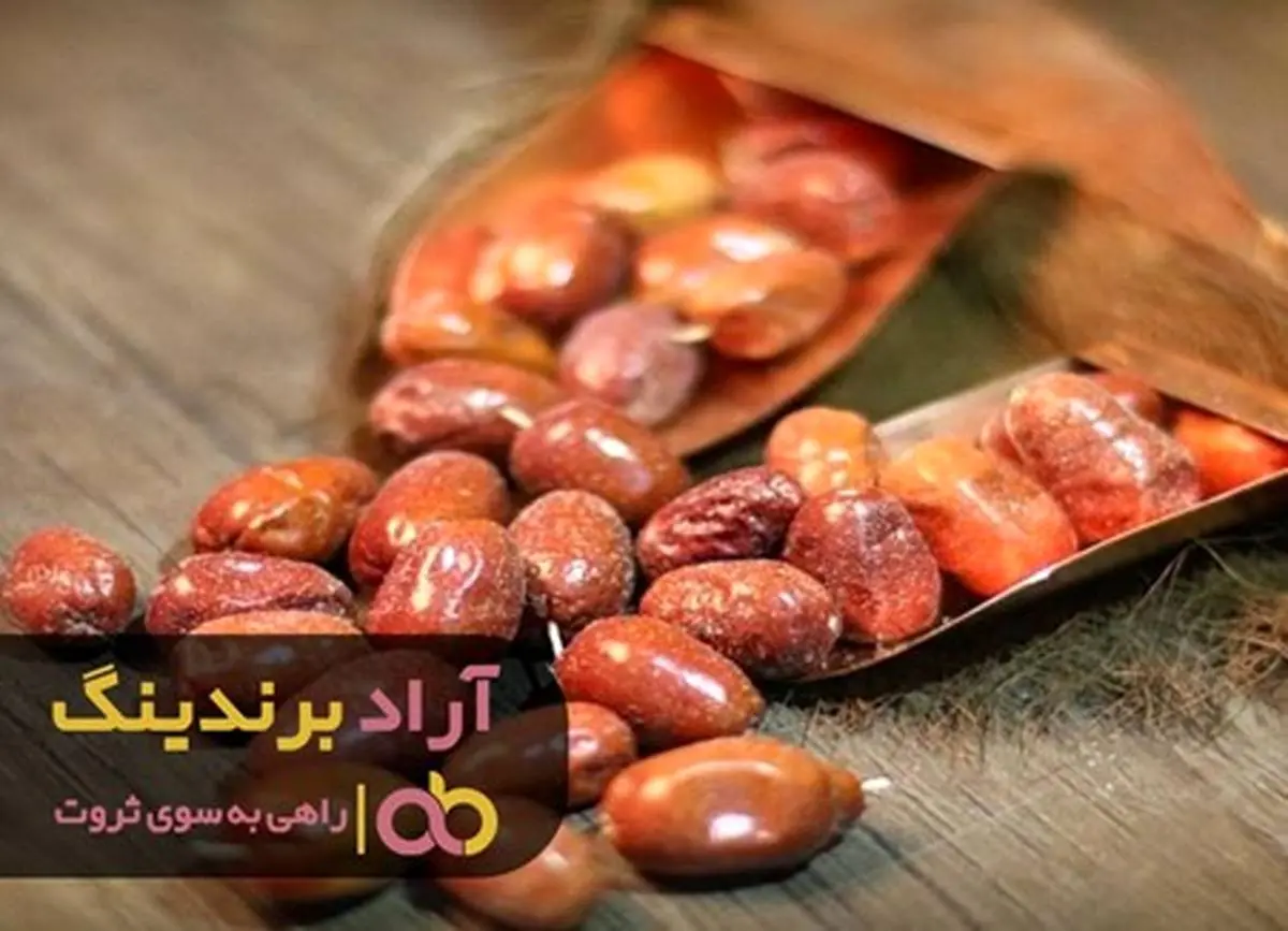 سنجد مرا به ثروتی رساند که فکرش را هم نمیکردم