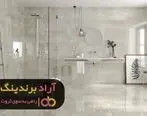 با کار در حوزه سرامیک توانستم درامدم را افزایش دهم