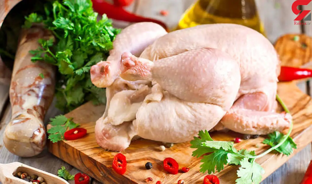 قیمت مرغ در هفته اول شهریور ماه کاهش می یابد؟
