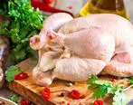 قیمت مرغ در هفته اول شهریور ماه کاهش می یابد؟