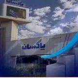 رشد ۴۶ درصدی فروش شش ماهه پاکسان
