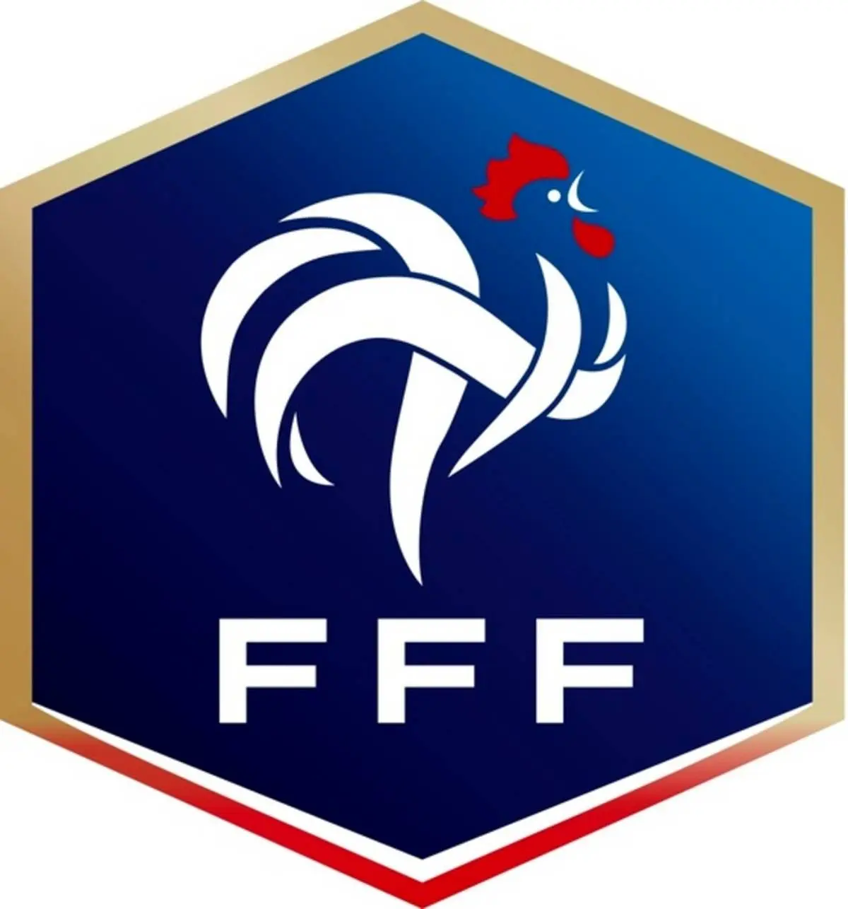 لغو تمامی رقابت‌های فوتبالی فرانسه 