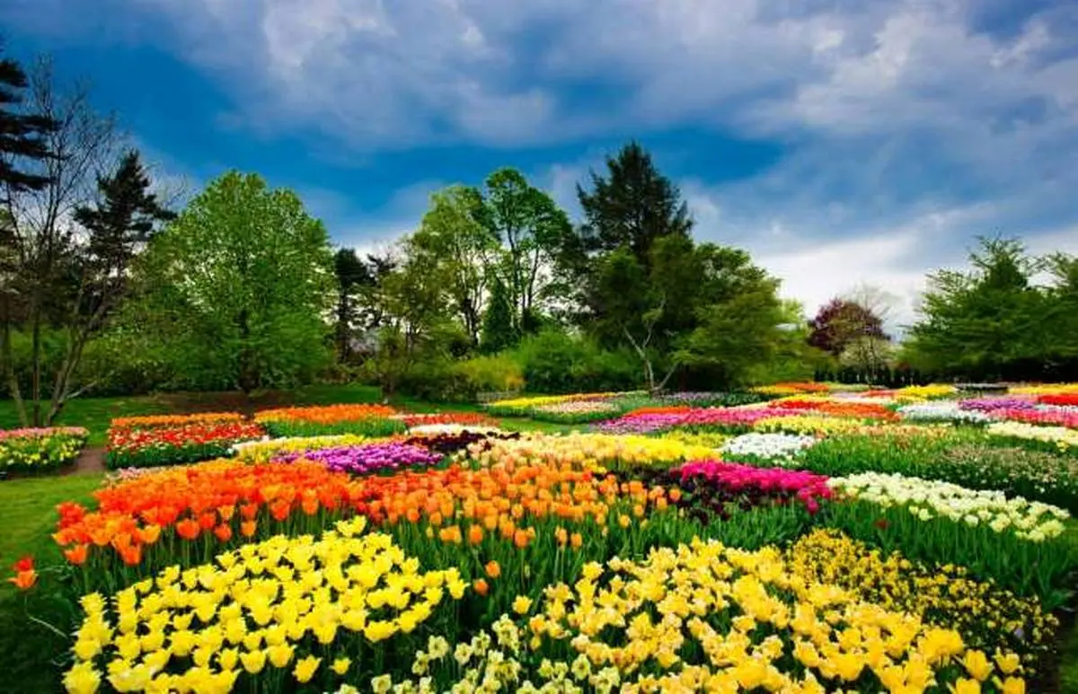 زیباترین باغ‌های جهان در کدام کشورها قرار دارند؟ + تصاویر