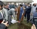 مراسم روز درختکاری در منطقه آزاد انزلی برگزار شد