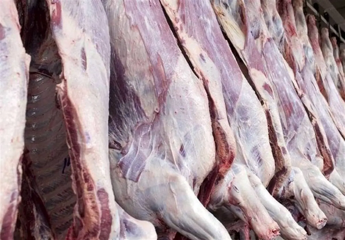 جزئیات ورود ۱۰۳ هزار تن گوشت گاوی به کشور