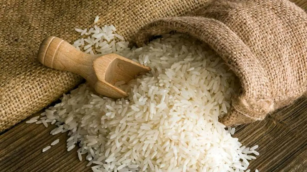 تعبیر خواب برنج چیست ؟ | تعبیر خواب برنج از نظر معبران معتبر 