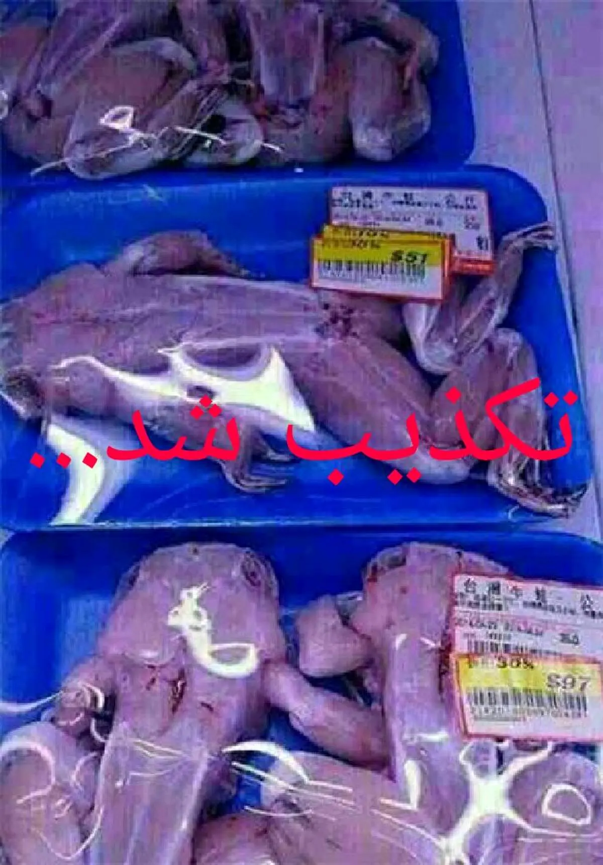 فروش گوشت قورباغه در تهران تکذیب شد
