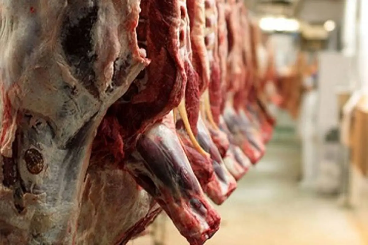 گوشت روسی وارداتی شرعی است