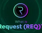 شبکه REQ چیست؟