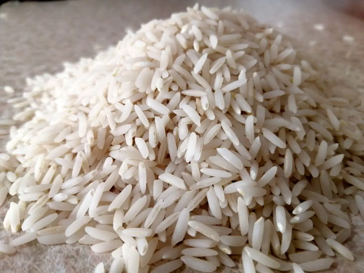 اعلام قیمت برنج ایرانی | جدول  قیمت انواع برنج 