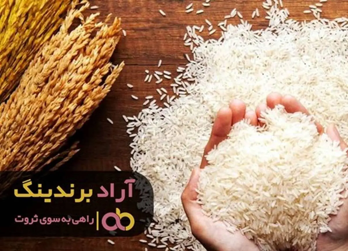 پیشتازی در رسیدن به ثروت را با برنج تجربه کردم