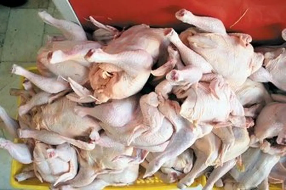 کاهش هزار تومانی نرخ مرغ در بازار