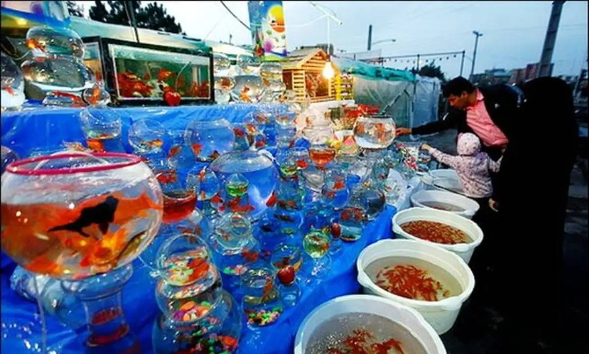 درخواست ممنوعیت فروش ماهی قرمز ویژه نوروز در تهران