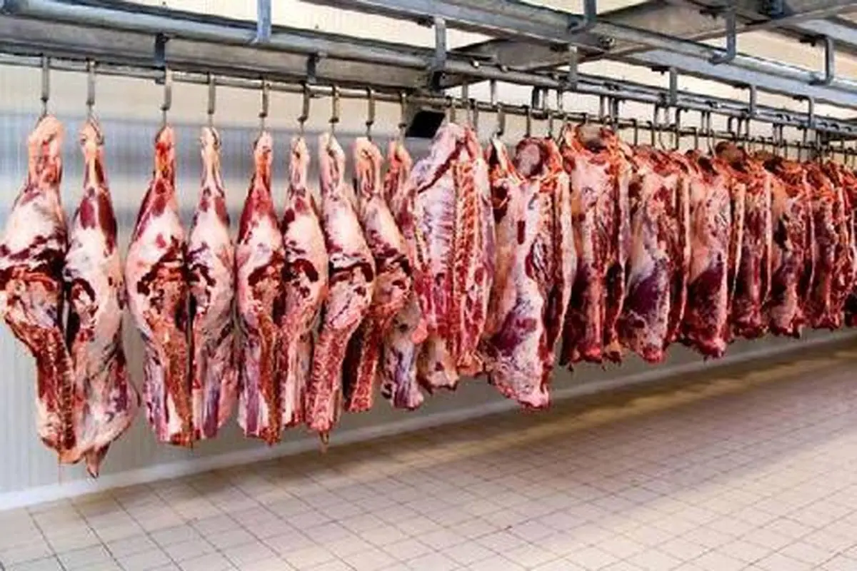 کشف ۱۳ تن گوشت فاسد از یک کارخانه در شیراز