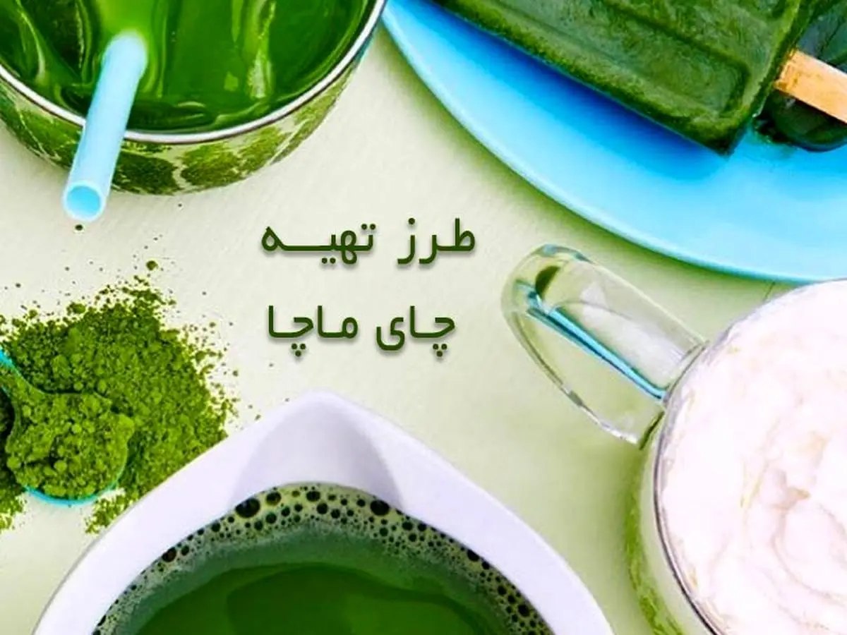 طرز تهیه چای ماچا | این چای را برای یکبار هم شده امتحان کن