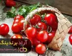 چرا در کسب و کار خودم درخشیدم و ثروتمند شدم