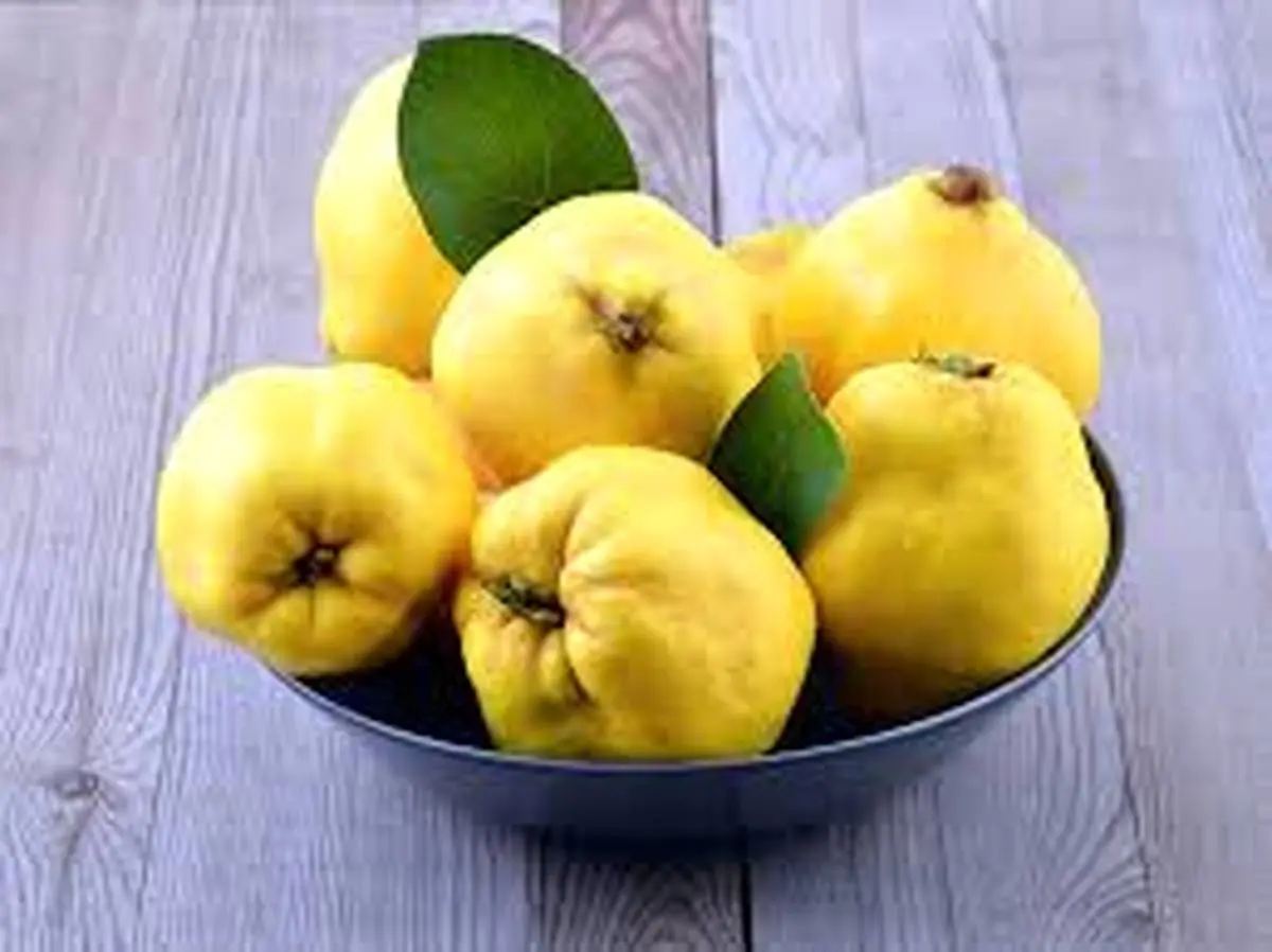 (اخبار سلامت)خواص بی نظیر میوه به | مصرف این میوه خوشمزه را فراموش نکنید