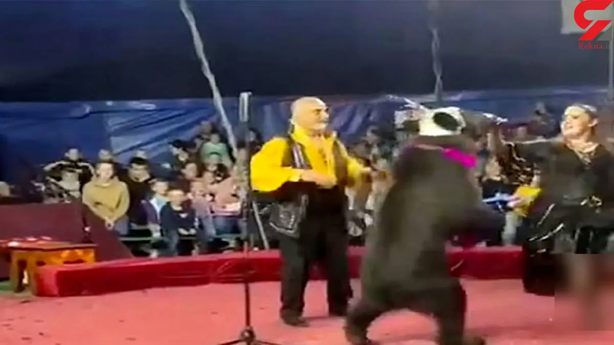 حمله وحشتناک خرس در سیرک به مربی خود + فیلم 