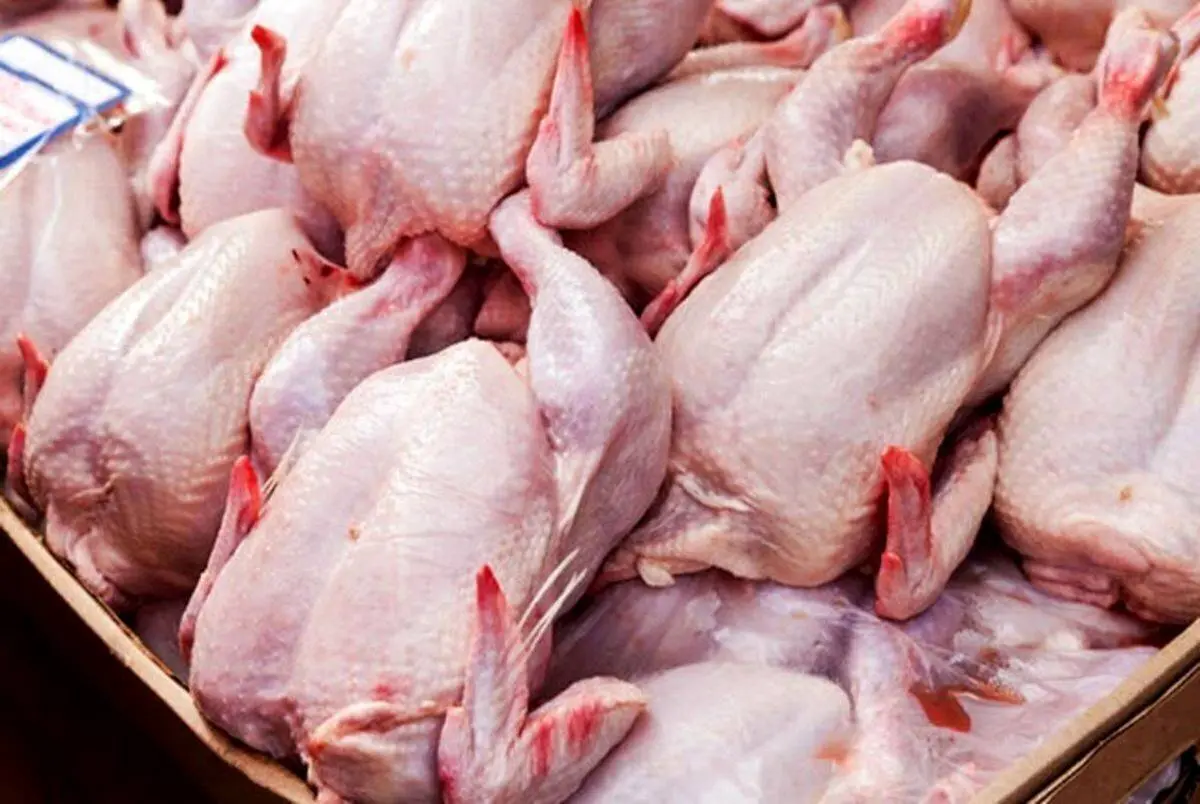 قیمت گوشت مرغ پر کشید| مرغ از سر سفره های ایرانی ها می‌رود؟