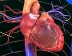 یک تست ساده خانگی برای تشخیص سلامت قلب | در ۶۰ ثانیه سلامت قلبتان‌ را بسنجید 