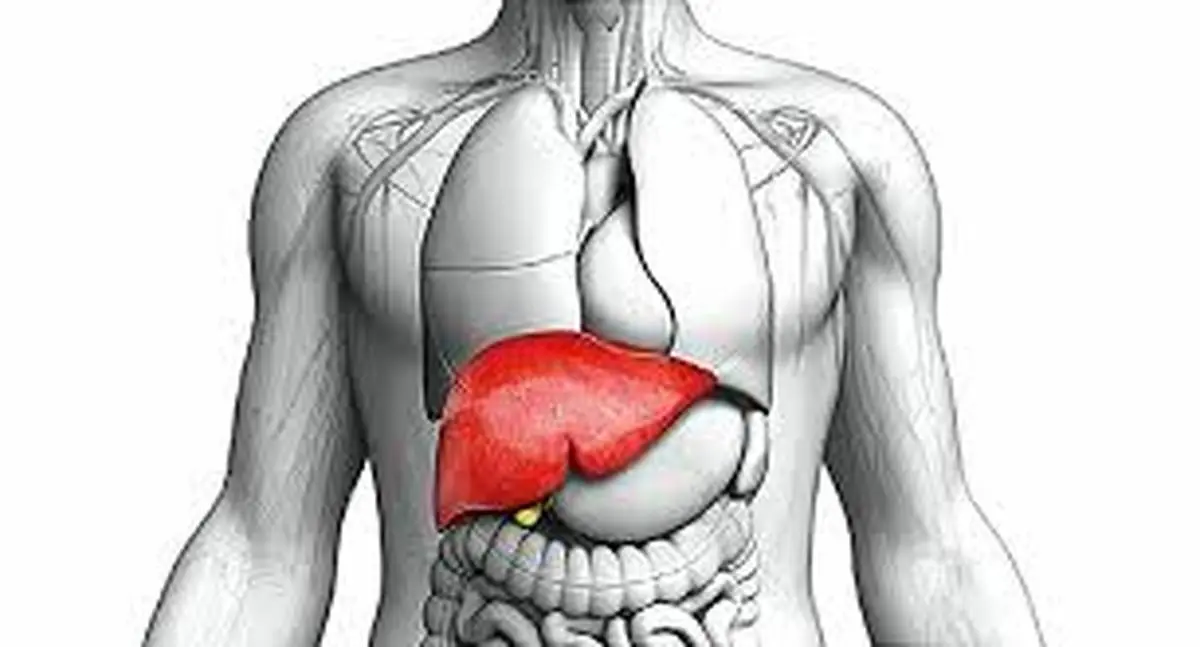 نشانه هایی که خبر از حال بد کبدتان می دهد