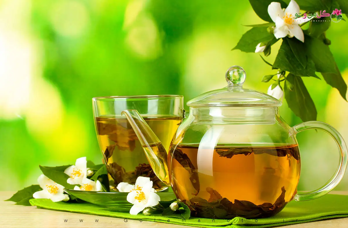 نکات طلایی برای دم کردن چای سبز | با این روشی که میگم چای سبز رو دم کن 