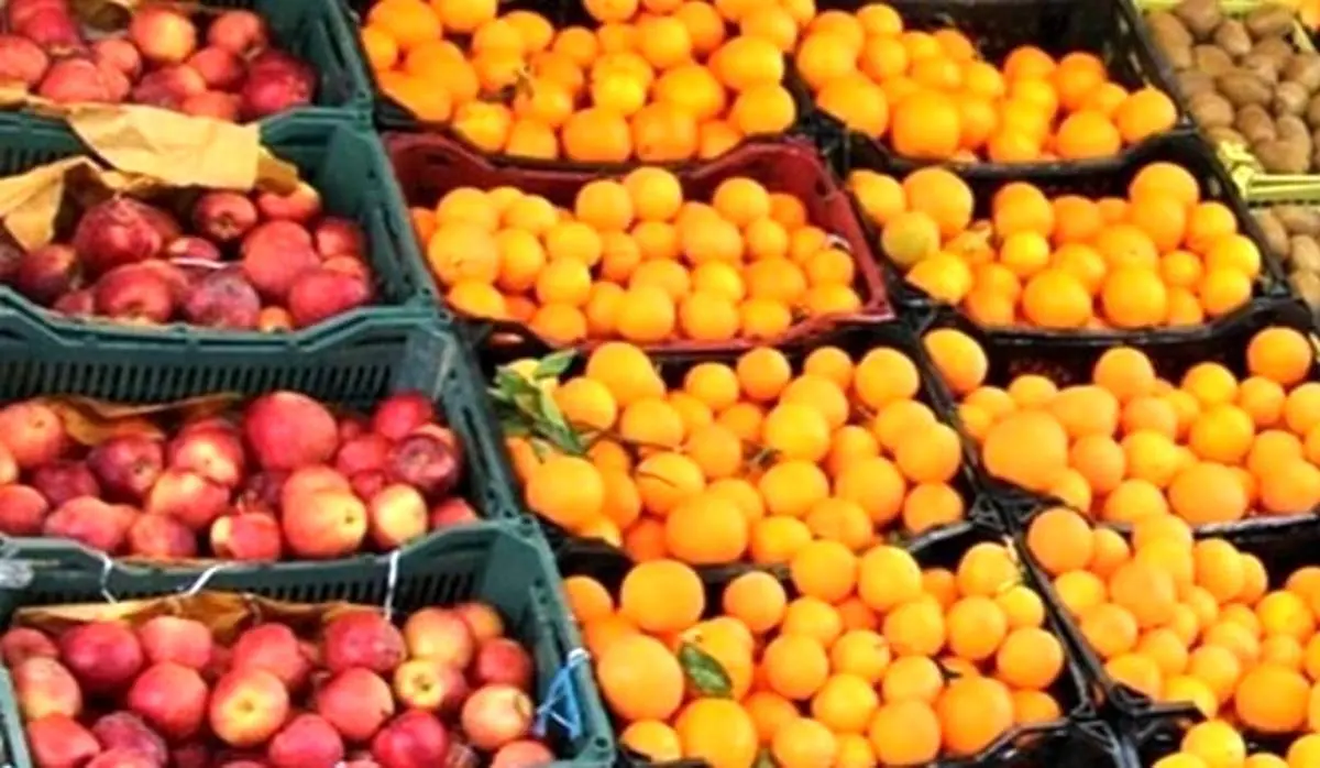 زمان توزیع سیب و پرتقال شب عید | قیمت هر کیلو پرتقال و سیب قرمز و زرد اعلام شد