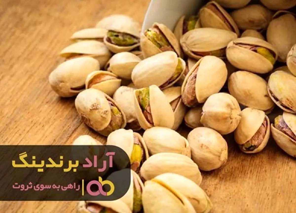 اندیشه های غیرقابل باور رمز میلیاردر شدن من بود