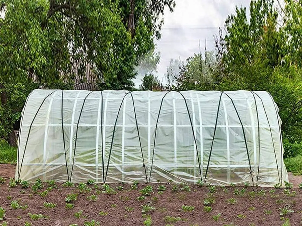 راهنمای خرید نایلون گلخانه درجه یک