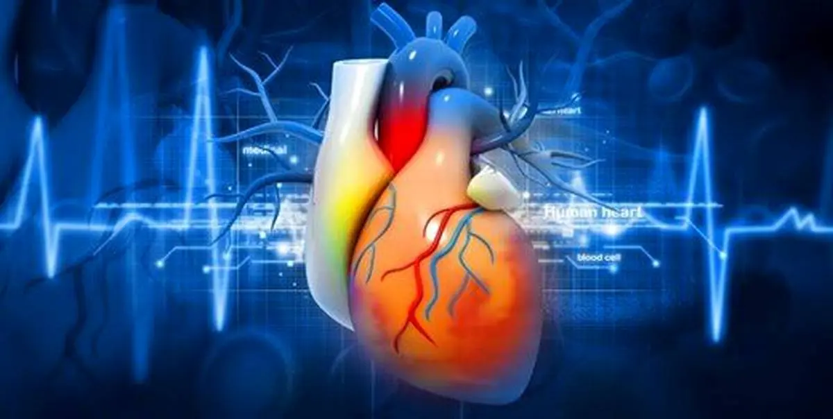آیا میزان ابتلا به بیماری‌ قلبی در مردان بیشتر است؟
