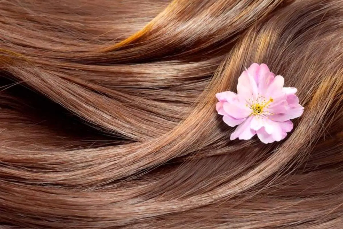 اصول زیبایی و مراقبت از مو و روش های طبیعی مقابله با ریزش مو
