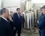 بازدید مدیرعامل بانک توسعه تعاون و معاون تعاون از طرح‌های تولیدی استان زنجان

