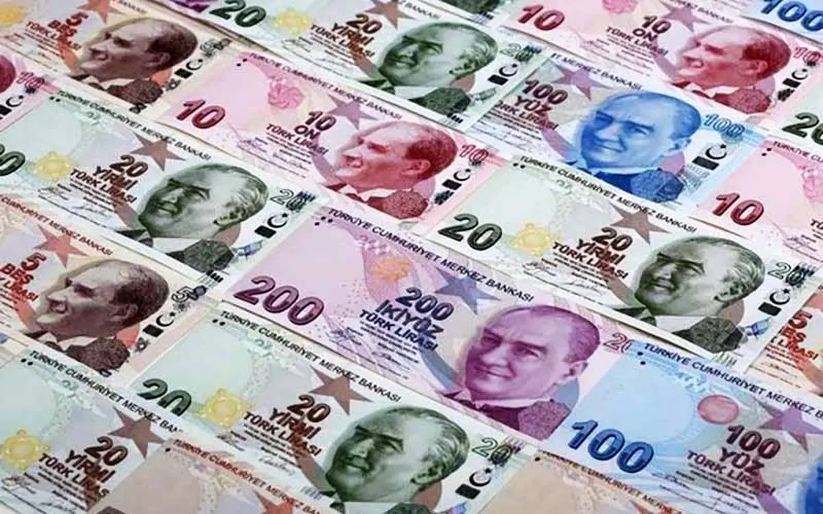 سقوط بی سابقه لیر ترکیه | لیر ترکیه در برابر دلار توقف کرد