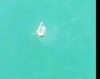 ویدئو غرق شدن جوان 25 ساله در سد جلوی چشمان دوستانش + ویدئو