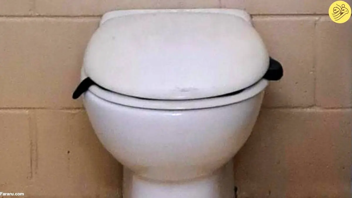 (ویدئو) بیرون کشیدن یک مار سمی از توالت فرنگی