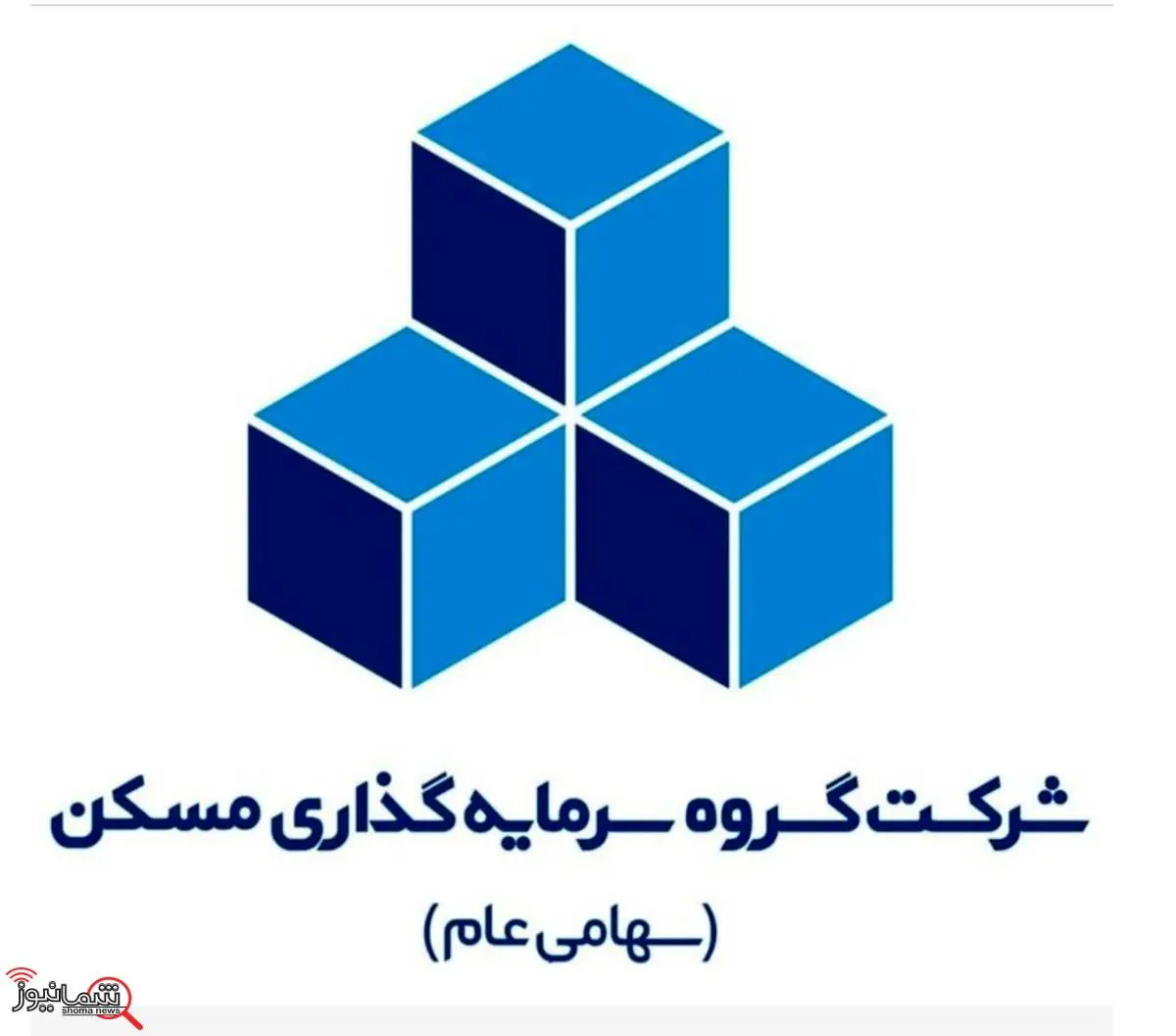 بررسی ثمسکن از صورتهای مالی یک شرکت