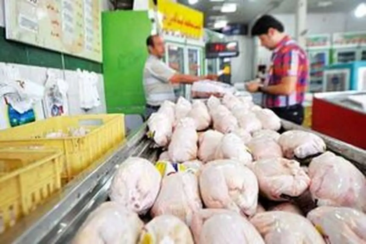 تازه ترین قیمت مرغ در بازار امروز | سینه مرغ کیلویی 260 هزار تومان