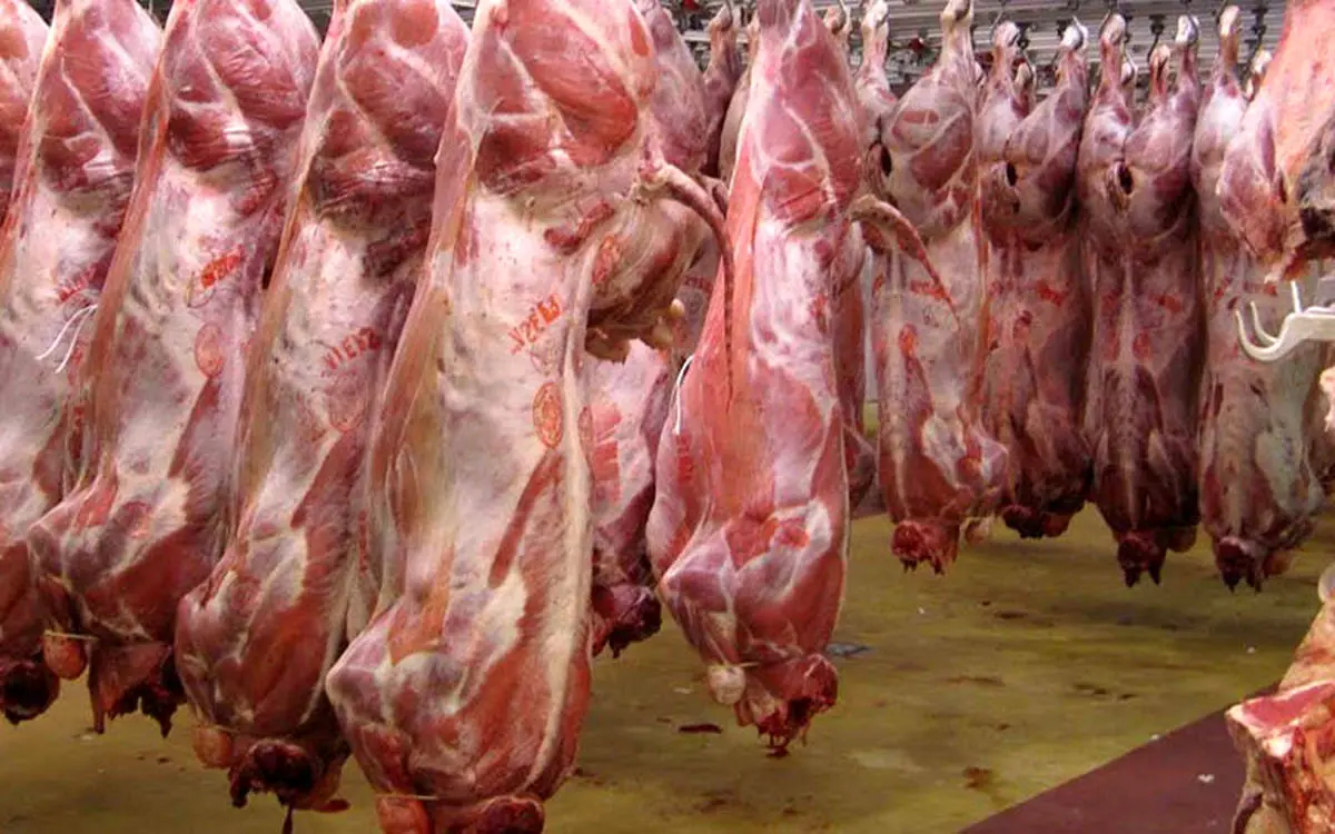 قیمت گوشت 20 هزار تومان کاهش یافت 