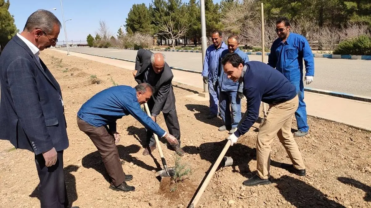 کاشت بیش از 6 هزار و 300 اصله درخت و درختچه در منطقه اصفهان​