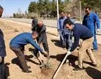 کاشت بیش از 6 هزار و 300 اصله درخت و درختچه در منطقه اصفهان​