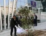  کاشت نهال توسط مدیرعامل بورس تهران در آستانه روز درختکاری 