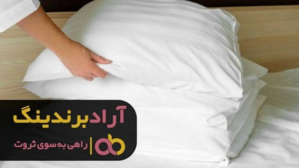 با تغییر نگرش در حوزه ی روبالشتی به پول رسیدم