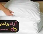 با تغییر نگرش در حوزه ی روبالشتی به پول رسیدم
