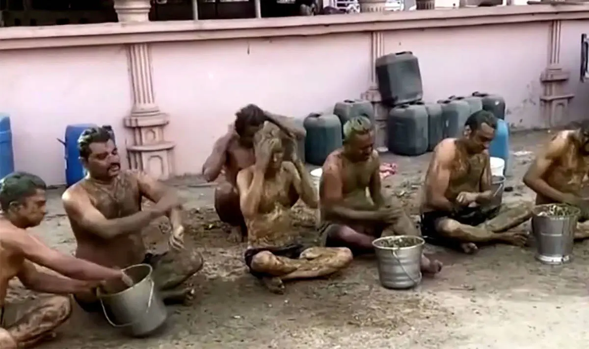 هندی ها کرونا را با مدفوع گاو شکست می دهند!